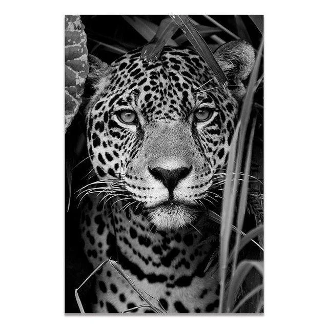 Black & White Wildlife -  - #tag1#