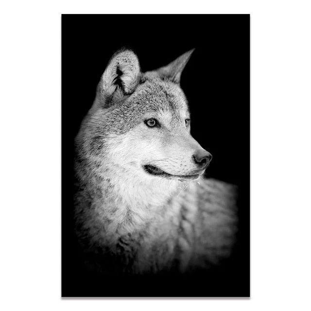 Black & White Wildlife -  - #tag1#