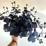 Black_Zamioculcas_Leaves_Bunch_Halloween_Christmas_Party_Ornamental_Flower_-_-_tag1_-4156825 Black Zamioculcas Leaves Bunch Halloween Christmas Party Ornamental Flower tag1