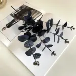Black_Zamioculcas_Leaves_Bunch_Halloween_Christmas_Party_Ornamental_Flower_-_-_tag1_-4156854 Black Zamioculcas Leaves Bunch Halloween Christmas Party Ornamental Flower tag1