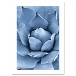 Bleu_Canvas_-_-_tag1_-4152654 Bleu Canvas tag1