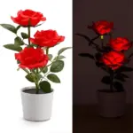 BloomLight Solar Rose Lantern tag1