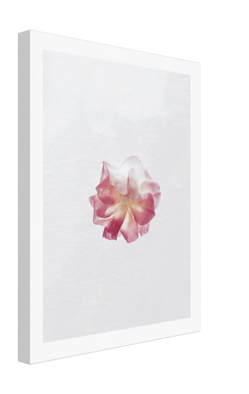 Bloom Canvas tag1