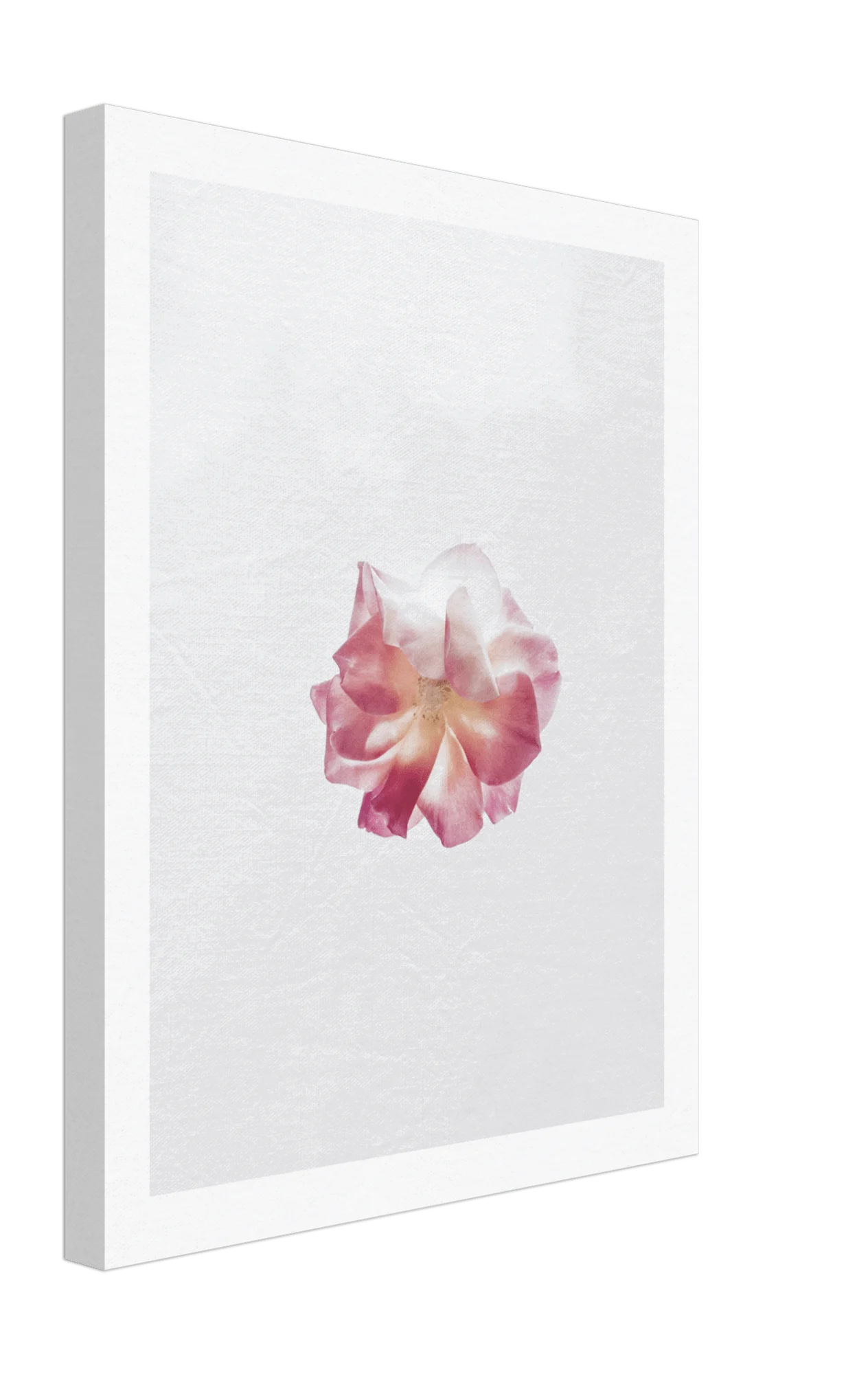 Bloom Canvas -  - #tag1#