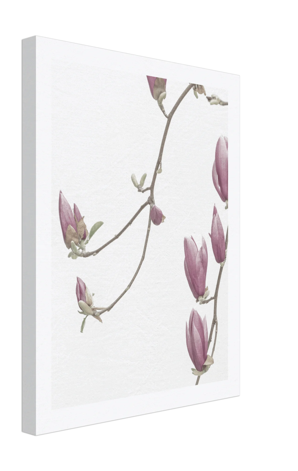 Bloom Canvas -  - #tag1#