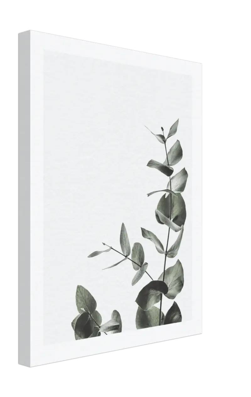 Bloom Canvas tag1