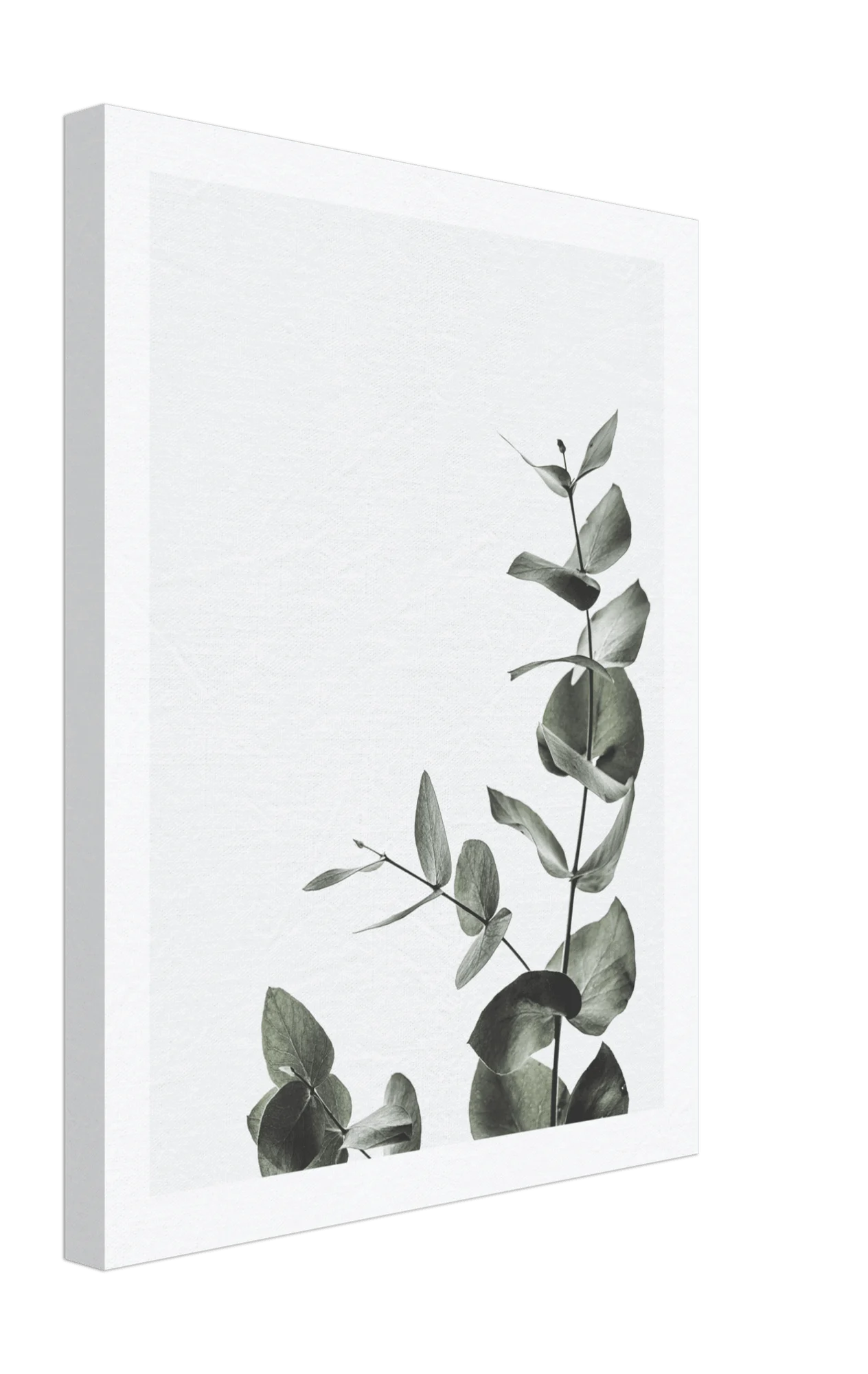 Bloom Canvas -  - #tag1#