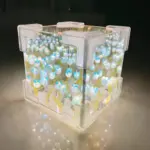 BlossomBox BeleuchteteGeschenkboxmitSeidenblumen