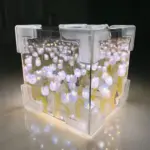 BlossomBox BeleuchteteGeschenkboxmitSeidenblumen