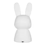 Blossoming Rabbit Night Lamp tag1