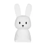 Blossoming Rabbit Night Lamp tag1