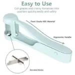 Blueberry_Grape_Slicer_-_-_tag1_-4158500 Blueberry Grape Slicer tag1