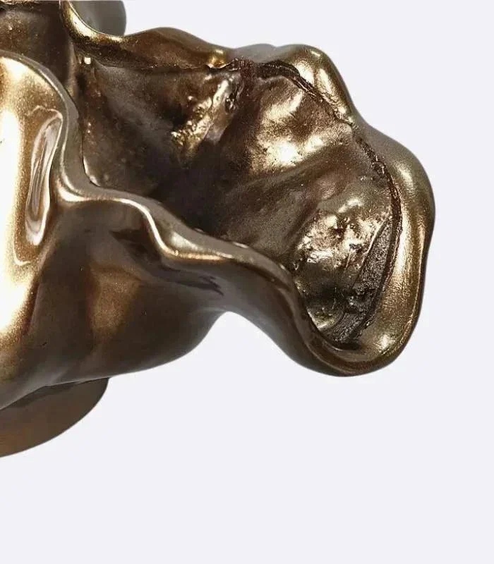 Bolide  Bowl Table Top Vase Resin Bronze -  - #tag1#