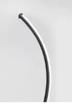 Branch