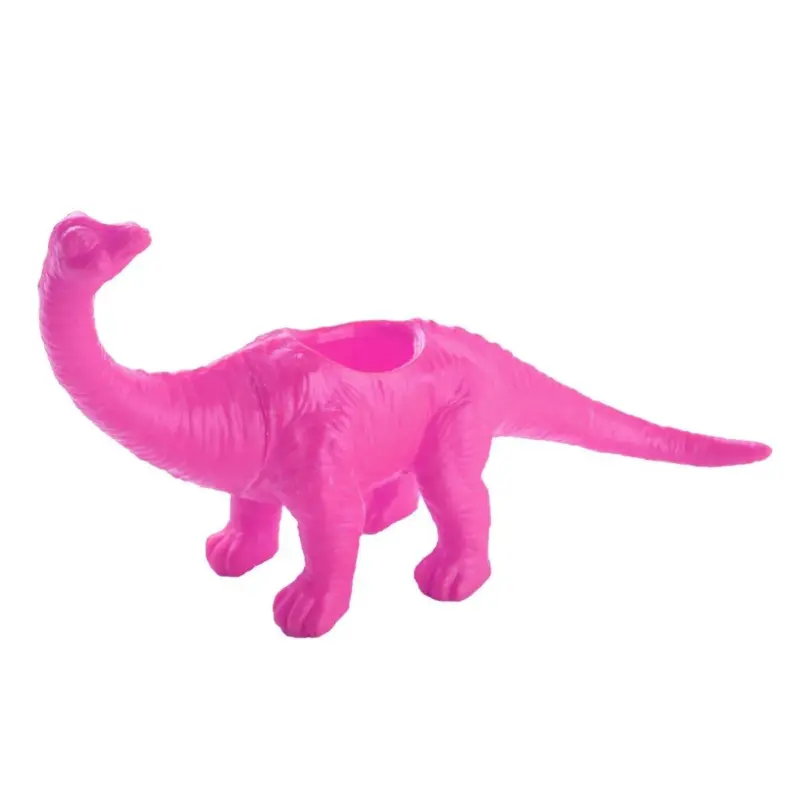 Bright Colourful Dinosaur Succulent Plant Pot tag1