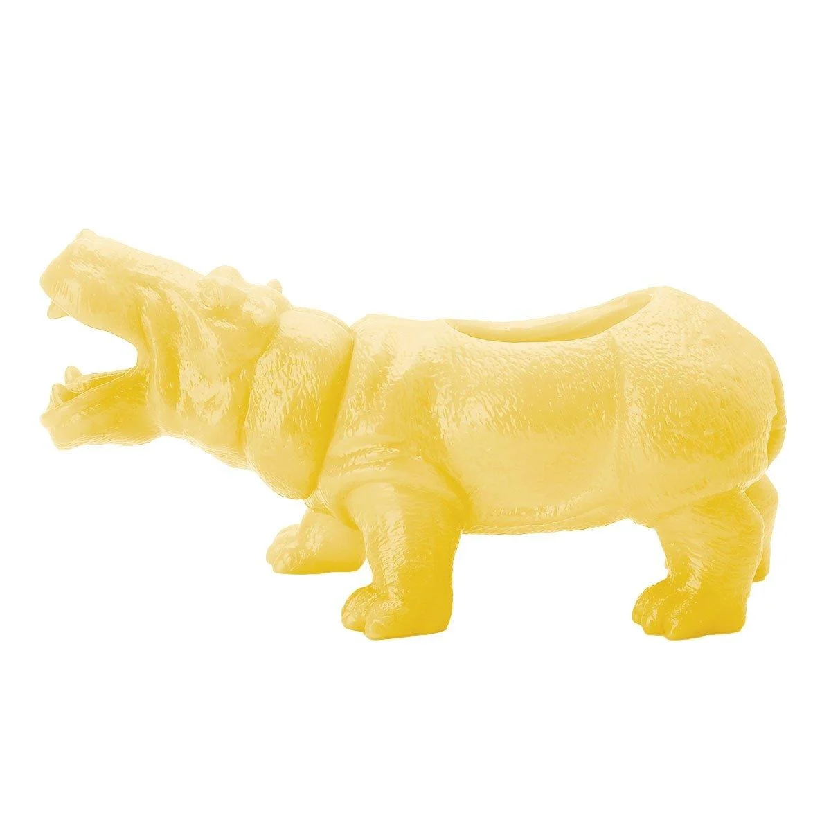 Bright & Colourful Dinosaur Succulent Plant Pot -  - #tag1#
