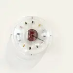 Bubble with Animal Ornaments Wall Shelf Clock