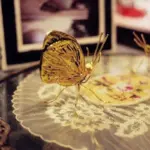 Bugs Decor tag1