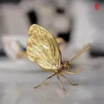 Bugs Decor tag1