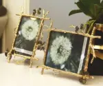 Butterfly_Photo_Frame_Golden_Picture_Frames_Copper_-_-_tag1_-4161053 Butterfly Photo Frame Golden Picture Frames Copper tag1