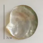 Butterfly Shell Jewellery Tray tag1