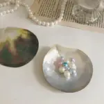 Butterfly Shell Jewellery Tray tag1