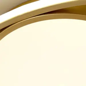 Homeko Circle LED Ceiling Lamp