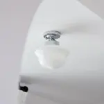 CL0242