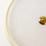 CL0243