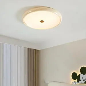 Homeko Circular LED Ceiling Lamp