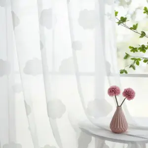 Nora Cloud Pattern Transparent Curtains Pleated