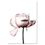 COCO Bloom Canvas Art tag1