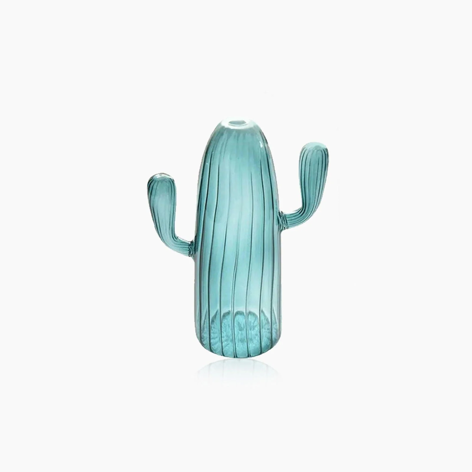 Cactus Glass Hydroponics Plant Vase -