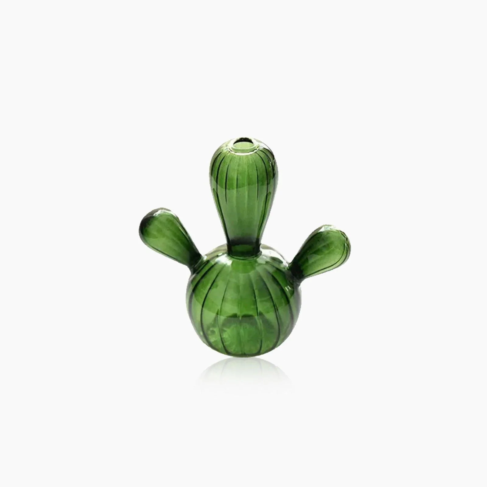 Cactus Glass Hydroponics Plant Vase -