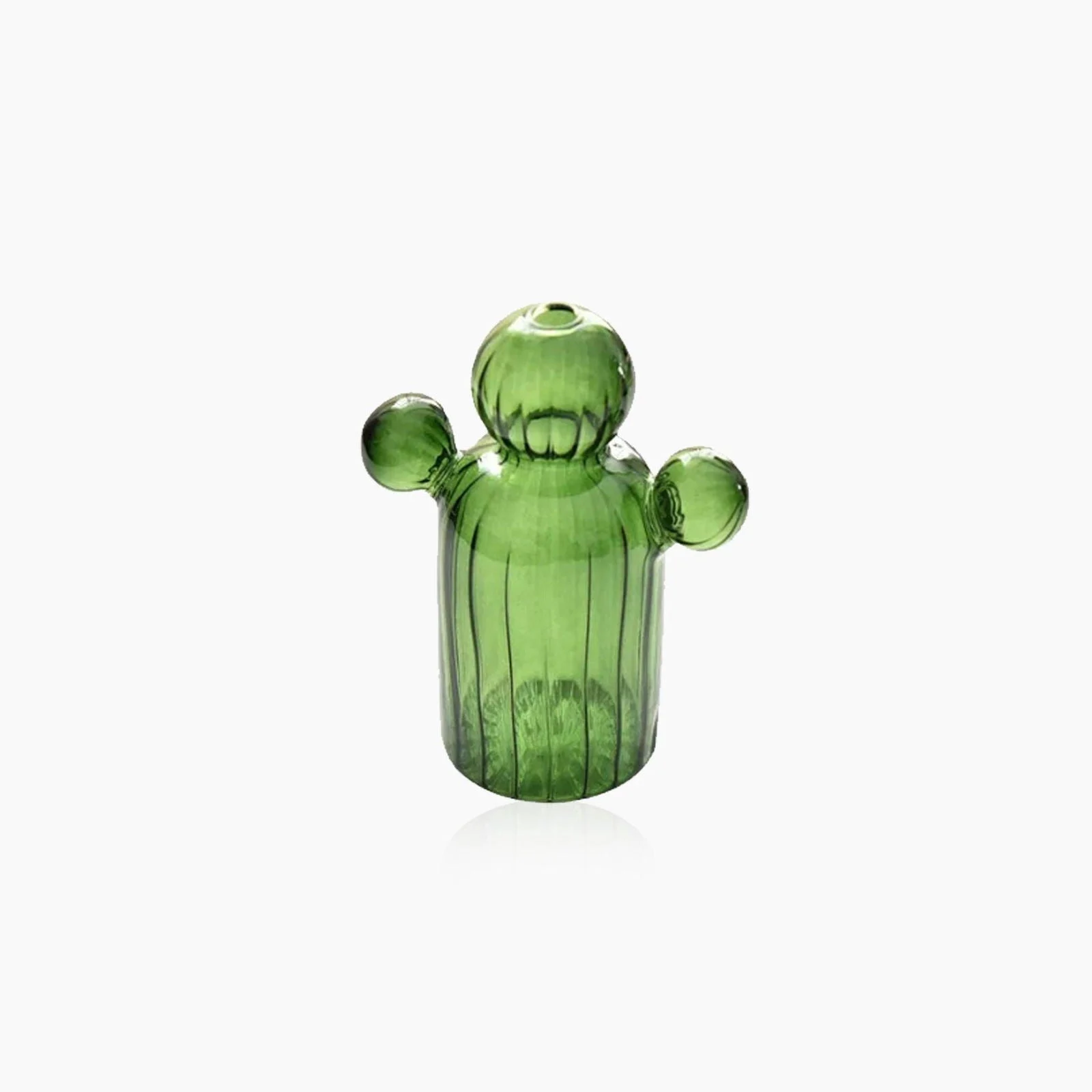 Cactus Glass Hydroponics Plant Vase -