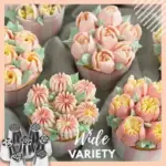 Cake Decor Piping Set tag1