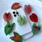 Caladium Leaf Sockets