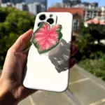 Caladium Leaf Sockets