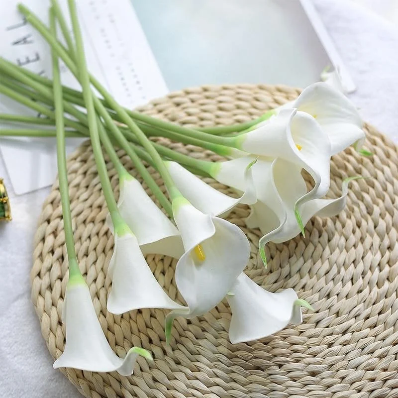 Calla Lillies -  - #tag1#