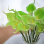 Calla Lillies tag1