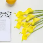 Calla Lillies tag1