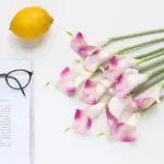 Calla Lillies tag1
