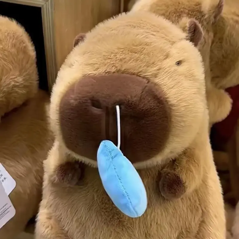 Capybara_Snot_Soft_Toy_-_-_tag1_-4163614 Capybara Snot Soft Toy tag1