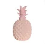 Cash Crop Stylish Pineapple Piggy Bank tag1