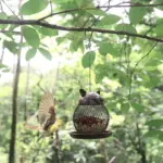 Cat Chicken Bird Feeder Decor Charming Addition to Garden