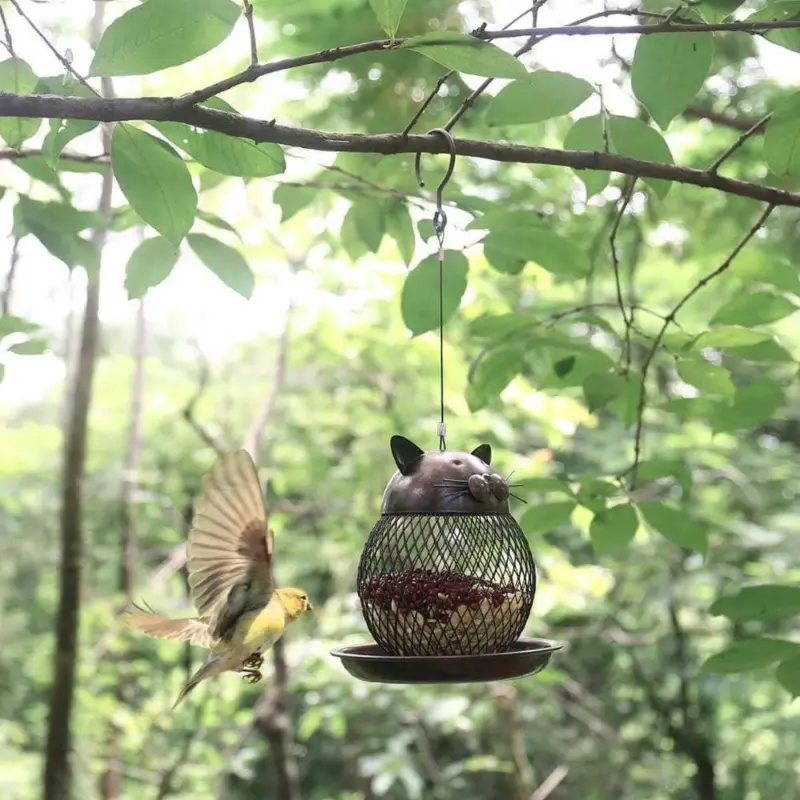 Cat Chicken Bird Feeder Decor Charming Addition to Garden