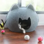 Cat House tag1