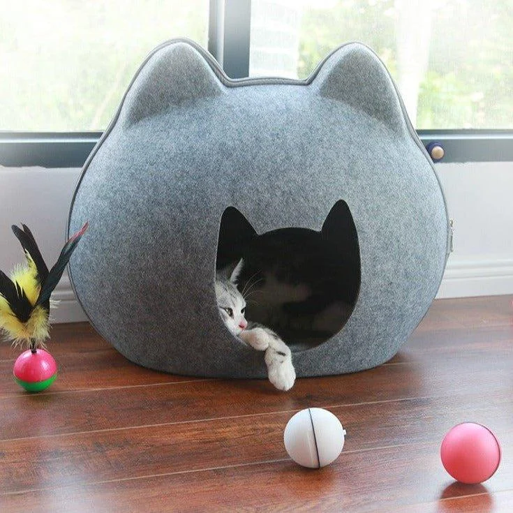 Cat House -  - #tag1#