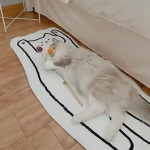 Cat Lying Rug
