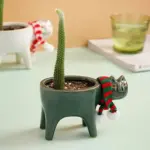 Cat Tail Hand Crafted Flower Pot